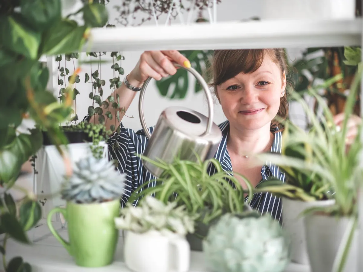 Cum să îți ții plantele în viață toamna pe balcon. Ai nevoie de apa fiartă de la o legumă din bucătărie
