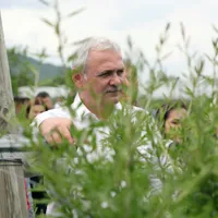 Dragnea, la fereală/FOTO: facebook.com