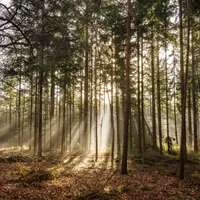 Citește și: Care sunt cele două categorii sociale ale căror pensii se înjumătățesc? Cum au fost păcăliți? Foto: Freepik (fotografie cu caracter ilustrativ)