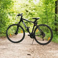 Care sunt cele mai frumoase trasee de parcurs cu bicicleta în România? Toate sunt în natură Foto: Pexels (fotografie cu caracter ilustrativ)