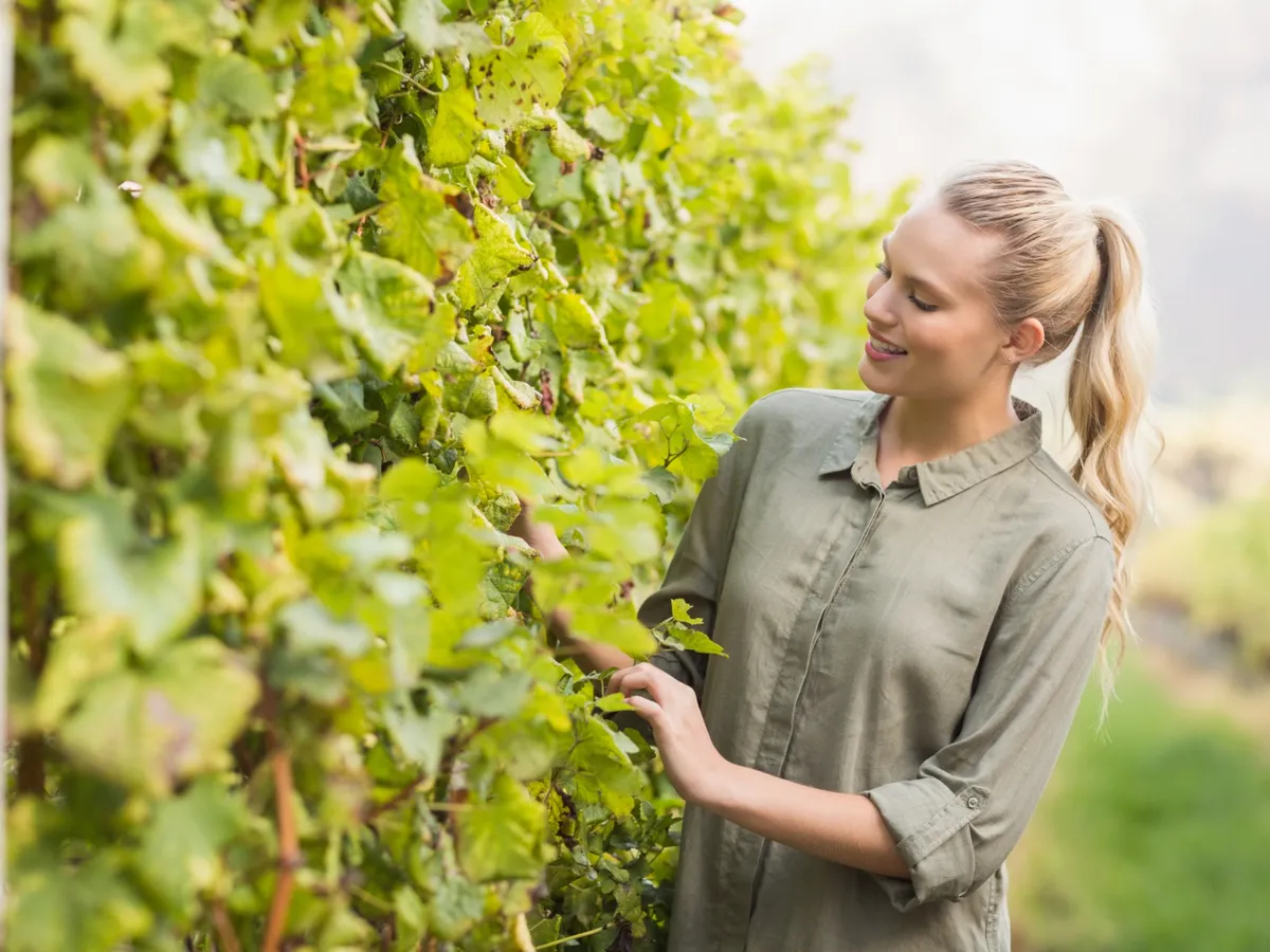 Femeie lângă o viță de vie - Foto: Freepik (Imagine cu rol ilustrativ)