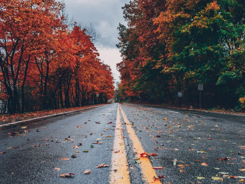 Ploi și furtuni în Europa. Care sunt țările cel mai tare afectate de schimbările climatice foto: Pexels (fotografie cu caracter ilustrativ)