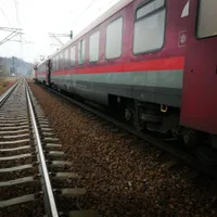 Cal rămas blocat între șine, lângă Sibiu. Un tren de persoane de la Caracal a fost oprit în câmp. /Foto: realitateadebrasov.net