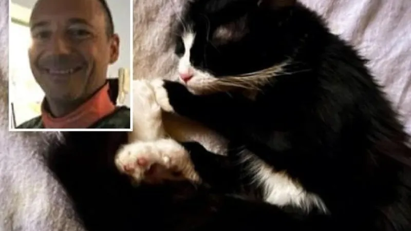 Un medic, cercetat pentru că a făcut o tomografie unei pisici