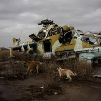 Rusia cere înapoi armele de pe unde le-a vândut. Egiptul îi revinde motoare de elicopter  - Foto: Profimedia Images (imagine cu caracter ilustrativ)