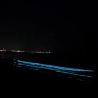 Un fenomen spectaculos s-a produs marți seară la malul Mării Negre: valurile au fost fosforescente Foto: Facebook/Marele Alb