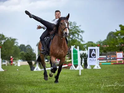 Karpatia Pony Show 2023 începe pe 1 Iunie, cu o paradă de cai și ponei și acrobații călare - Foto: Facebook/Karpatia Pony Show