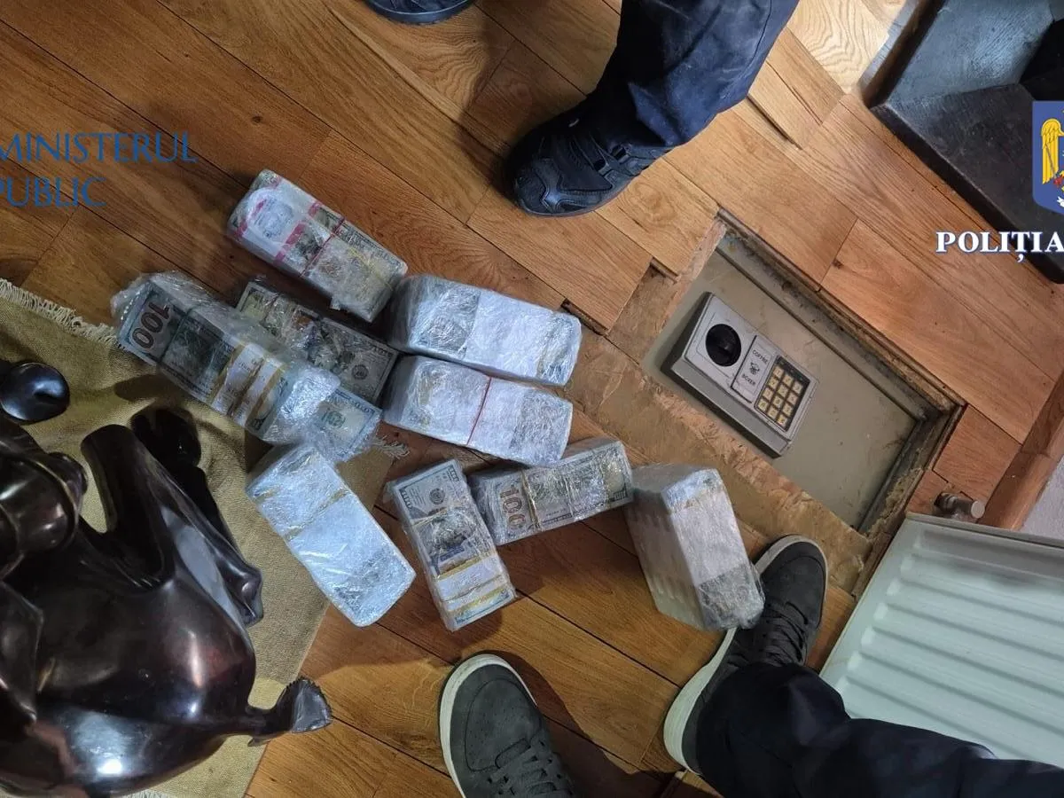 Au fost găsiți 10.000.000 $ acasă la Horațiu Potra - Foto: Captură Poliția Română - Ministerul Public