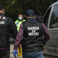 Amenda usturătoare primită de un bărbat pentru ce avea în curtea casei. Ce nu avea voie să facă? - Foto: Observator / imagine rol ilustrativ