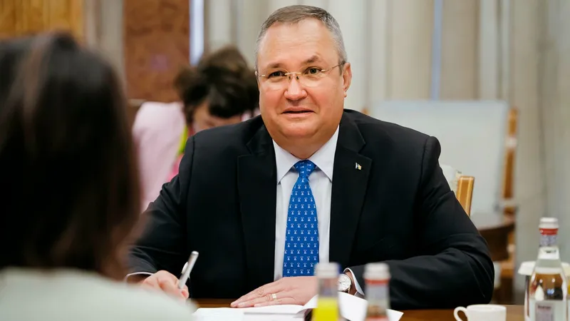 Nicolae Ciucă - Foto: Profimedia