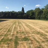 Terenul 2 de antrenament este pârjolit