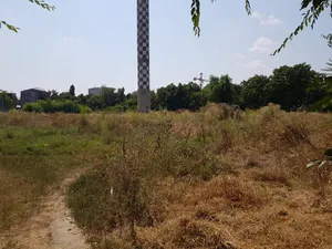 Sala Polivalentă va fi construită aici/ Compania Municipală Întreținerea Arborilor și Spațiului Verde București.