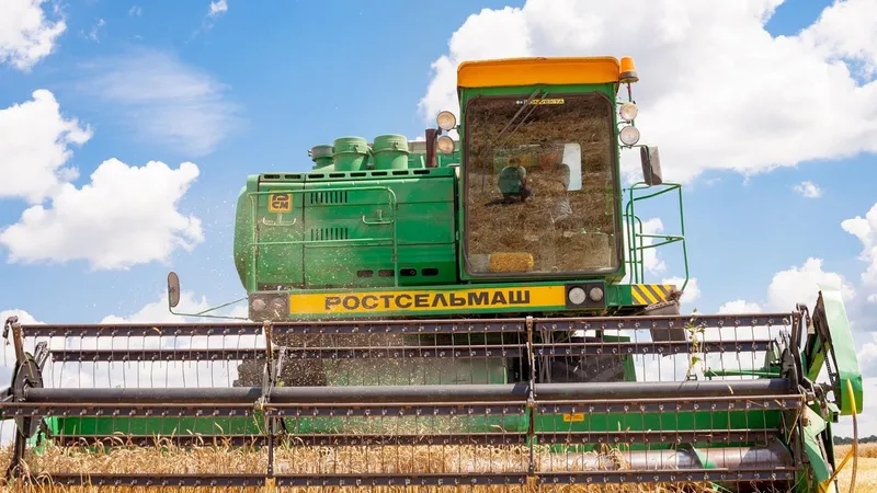 Recoltă record de grâu, în Rusia. / Foto: Profimedia