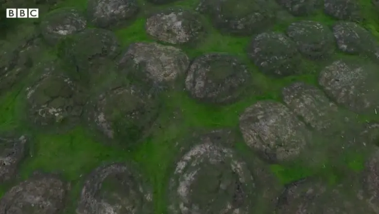 „Cocoașele” care au apărut pe suprafața pământului în Siberia/FOTO: BBC