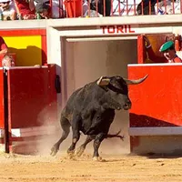 Foto: feriadeltoro.com