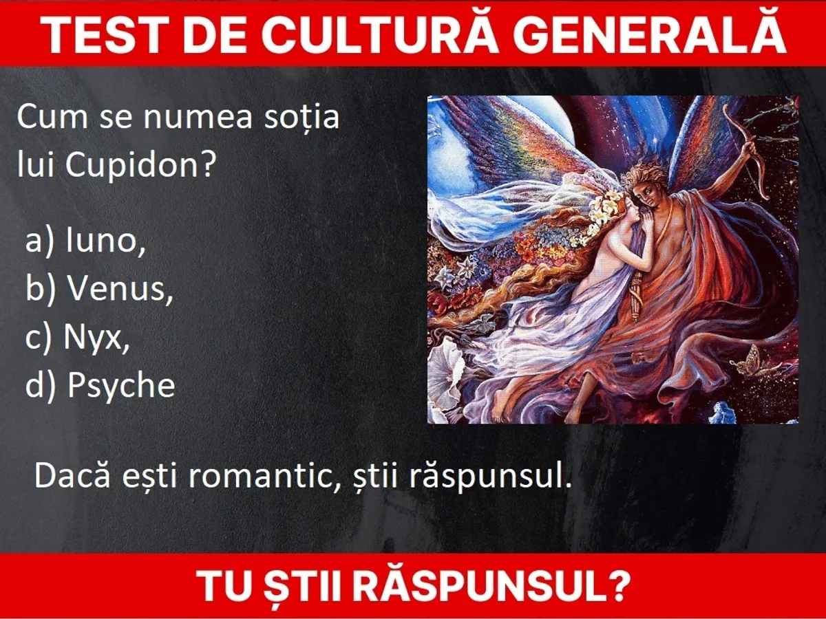 Test de cultură generală Foto: Newsweek