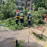 Un copac s-a prăbușit peste un parc de joacă din Suceava. S-ar fi putut întâmpla o tragedie Foto: ISU Suceava