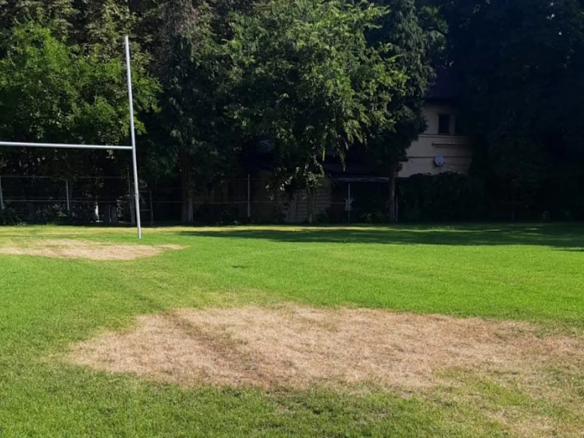 Citește și EXCLUSIV Documentele care arată destinația Stadionului de Rugby Arcul de Triumf