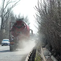 Rinitele alergice sunt o patologie dinceînce mai frecventă în ultimii ani - Foto: INQUAM PHOTOS/ Octav Ganea