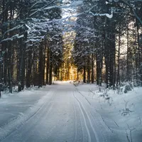 VREMEA După aerul polar cu ger și îngheț, temperaturile cresc peste noapte. La ce să ne așteptăm Foto: Pexels (fotografie cu caracter ilsutrativ)