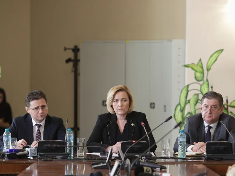 Carmen Dan a răspuns întrebărilor în Comisia de Apărare din Senat. Foto: Inquam Photos/Octav Ganea