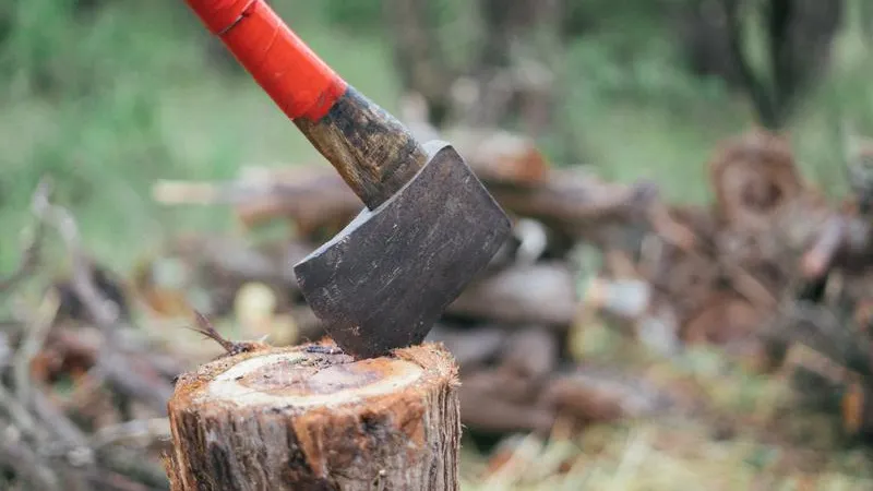 Coaliția vrea să introducă o nouă schemă de compensare a prețului lemnelor de foc- Foto: PEXELS PHOTOS
