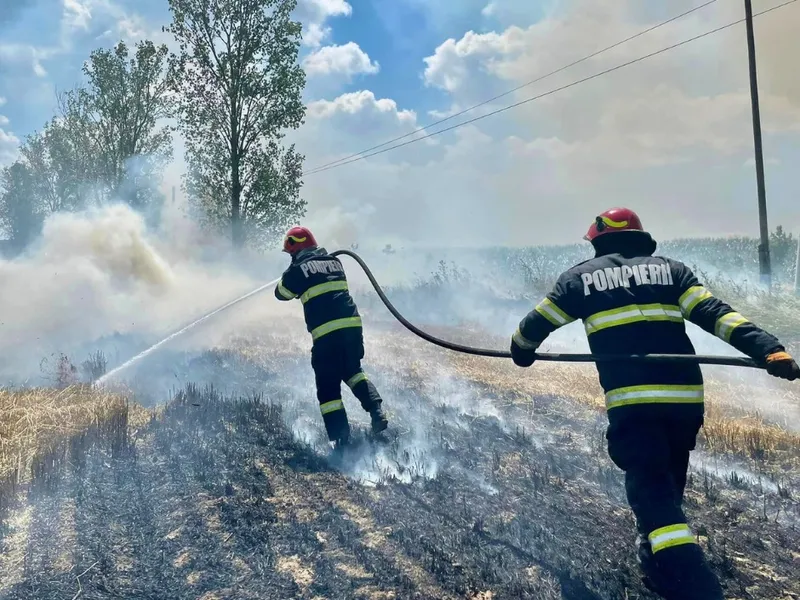 Incendii de vegetație de amploare în România. Zeci de hectare mistuite de flăcări în doar 24 de ore - Foto: Faceboog/IGSU