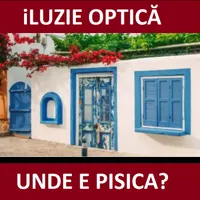 Iluzie optică Foto: Newsweek România/indiatimes.com