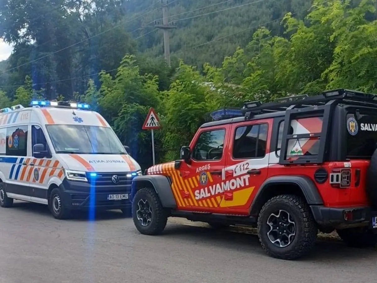 Turist înțepat de o viespe pe munte, în Argeș. Salvamontiștii au intervenit după ce a rămas fără aer