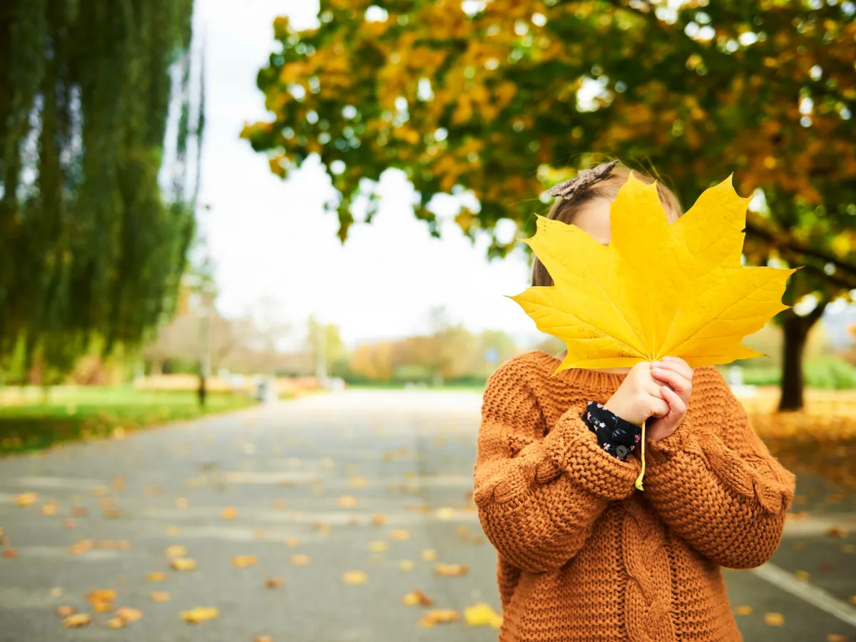Vremea se strică miercuri: cer mohorât și ploi în Maramureș, Transilvania și Moldova