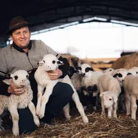 Stână de miei- Foto: FACEBOOK/Ministerul Agriculturii și Dezvoltării Rurale