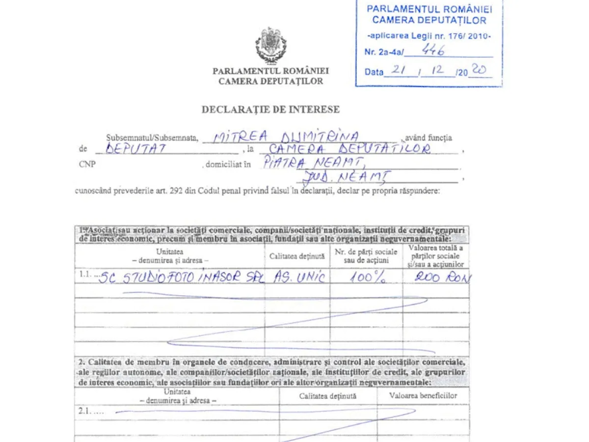 Declarația de interese a Dumitrinei Mitrea, publicată pe site-ul Camerei Deputaților