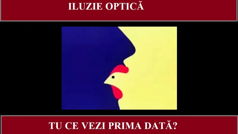 Iluzie optică Foto: Newsweek România