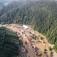 Inundațiile din Suceava și Neamț. Peste 1.000 de animale domestice sunt dispărute - Foto: Profimedia Images (Imagine cu rol ilustrativ)