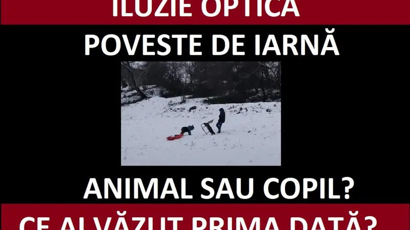 Iluzie optică Foto: Newsweek România