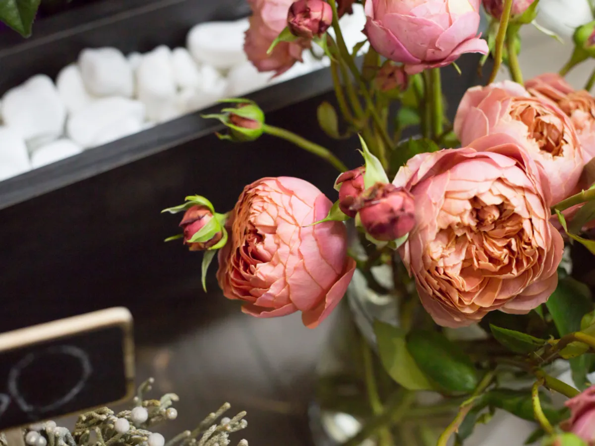 Bujori - Foto: Freepik (rol ilustrativ)