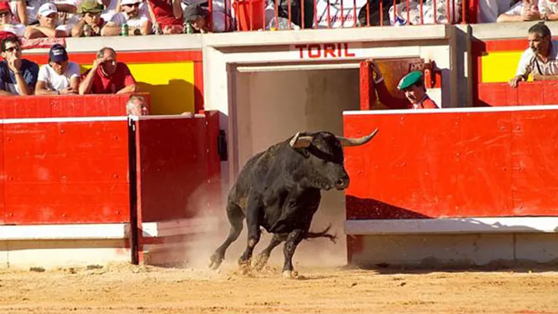 Foto: feriadeltoro.com