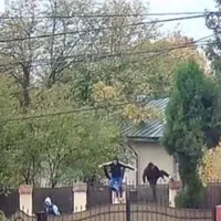 Hoții au sărit gardul și au intrat în curtea unei vile din Săftica Foto: Facebook/Grup civic Balotești