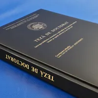 Univeristățile vor verifica tezele de doctorat, dar CNATDCU ar putea întoarce verdictul final / copert-doctorat.ro