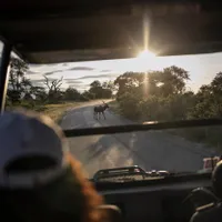 Parcul Naţional Kruger / Foto: Profimedia