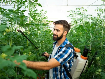 Erbicidare - Foto: Freepik