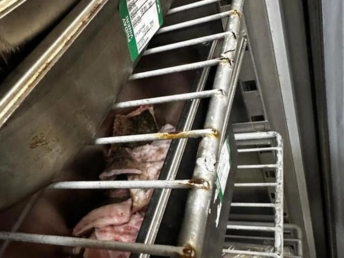 Distracție în cluburile de pe Litoral? ANPC a închis 7 unități din două stațiuni. Problemele găsite? - Foto: ANPC