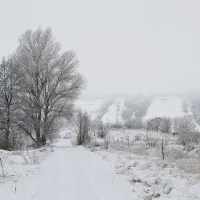 De ce a interzis un primar căderea zăpezii, în comuna sa - Foto: PXHere/CC0