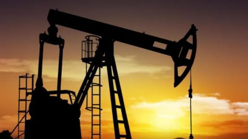 Sonde pentru exploatarea petrolului/Foto: Capital.ro
