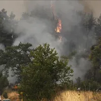 Mii de oameni fug din calea focului/Foto: euronews