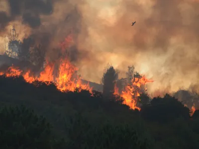 Incendii Spania - Foto: Profimedia Images