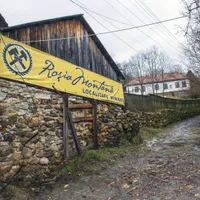 Cine sunt băieții deștepți care au luat milioane $ în scandalul Roșia Montană? Care e rolul României - Foto: Profimedia Images