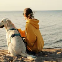 Horoscop 28 mai 2025. Taur – revelații, Scorpion – confruntări, Pești – decizii, Leu – inspirație  - FOTO: Pexels (imagine cu rol ilustrativ)