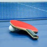 Tenis de masă - Foto: Profimedia