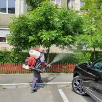 O nouă dezinsecţie în București împotriva țânțarilor purtători de West Nile/Foto: whatsapp